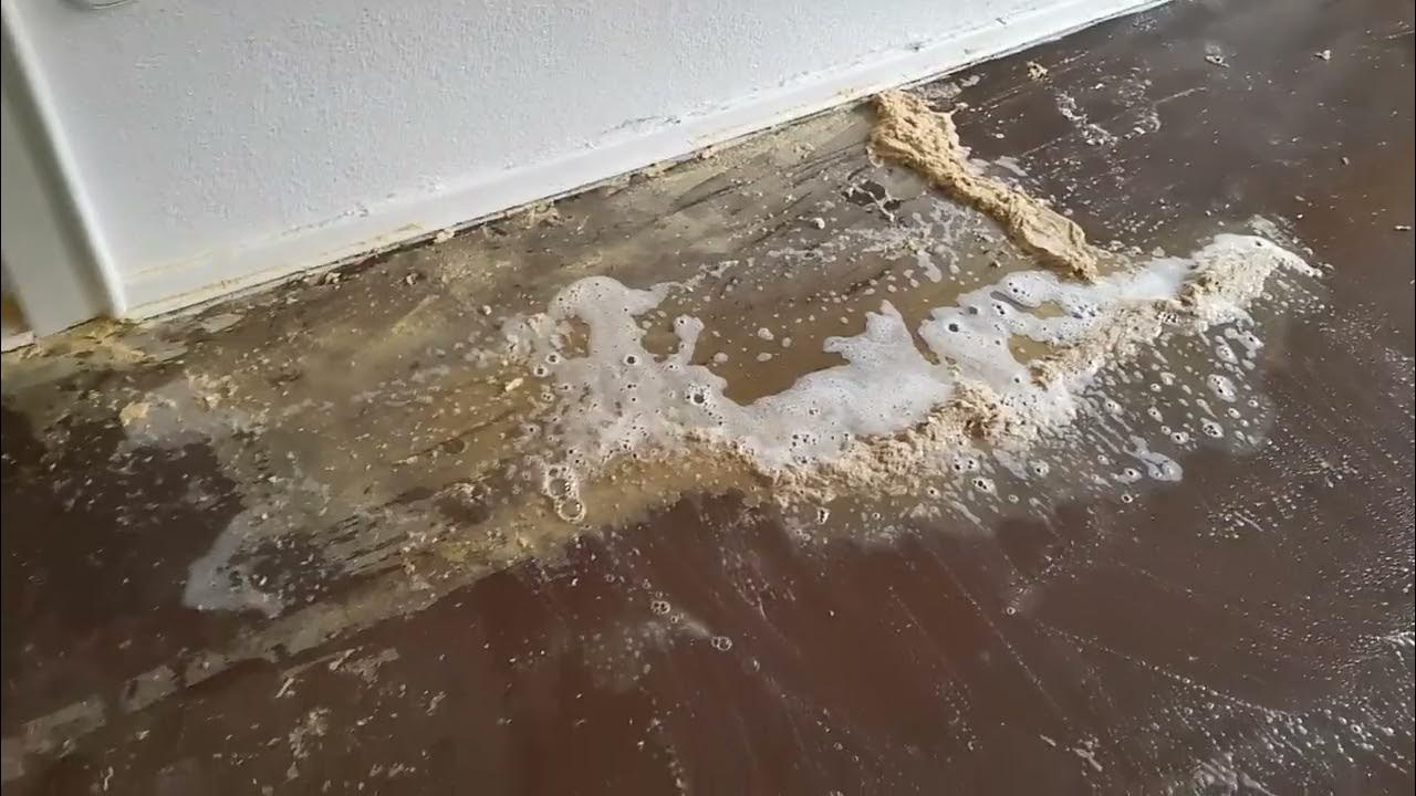 Teppichkleber entfernen leicht gemacht YouTube