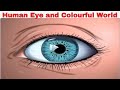 CBSE Class 10 Science - 11 || Human Eye and Colourful World || Full Chapter || by Shiksha House