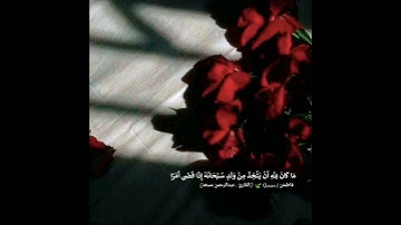 ليطمئن قلبك تلاوة خاشعة جدًا عبدالرحمن مسعد.