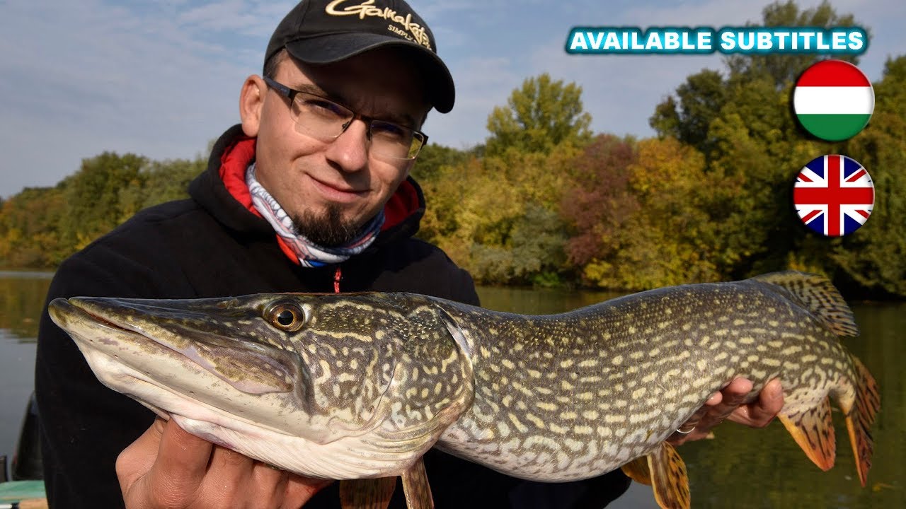 Szalai Gábor - Ébredő ragadozók 1. rész: Földhöz ragadt csukák