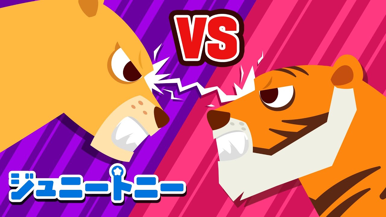 🦁トラ vs ライオン🐯｜どっちがつよい?😱｜まけるな！たいけつ