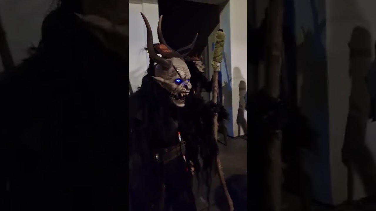 Impressionen von unserem Lauf in Höflein