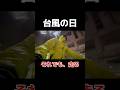 21歳100キロ、台風の日の1日　#自転車 #ダイエット #vlog