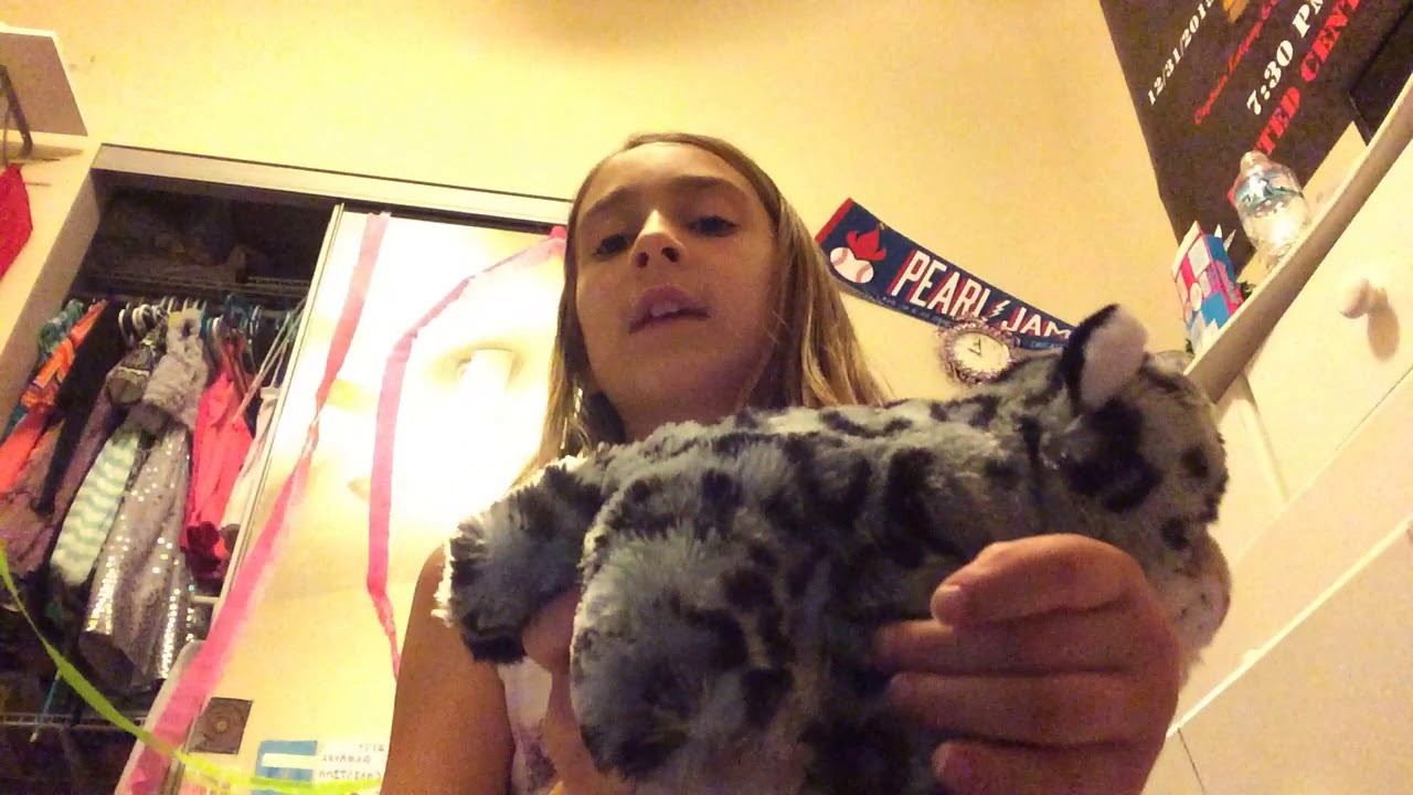 Adopting my first snow leopard