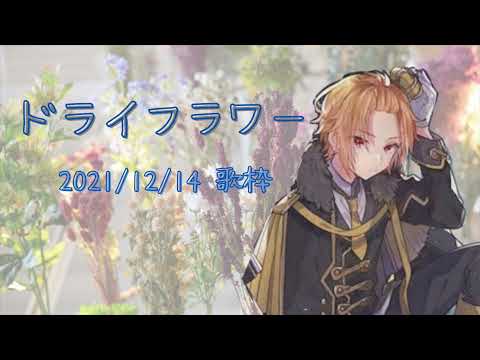 ドライフラワー【そうまくん歌枠】