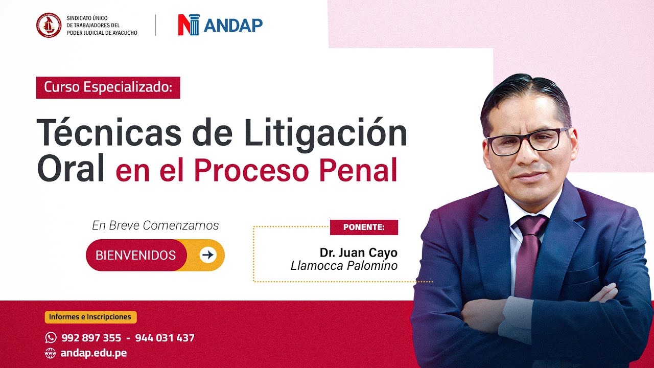 TÉCNICAS DE LITIGACIÓN ORAL EN EL PROCESO PENAL
