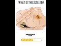 #quiz #easylearning #english #education #englishgrammar #follow #followformore #youtubeshorts 🫶🏻