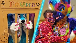 CRAZY FURRY MOMENTS AT A FURRY CONVENTION {ANW 2021}