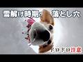 【雪中キャンプ】と泥キャンプは紙一重。雪解けの福島で今季最後の雪遊び