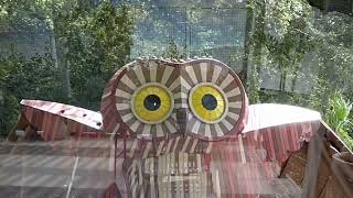 Bonnet Springs Park Soft Open Preview screenshot 5