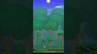 The Terraria RANDOMIZER is insane! #Shorts