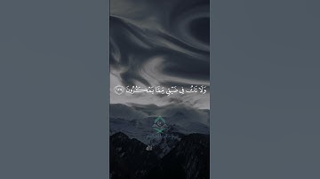 تلاوة من سورة النحل  القارئ فارس عباد   quran​  quran kareem​ واصبر وماصبرك الا بالله