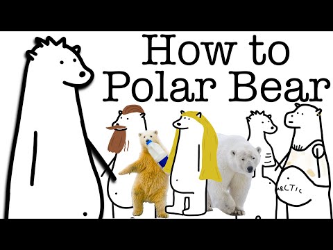Your life as a Polar Bear