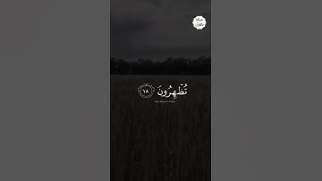 تلاوة من سورة الروم / للقارئ براك الشمري وفقه الله