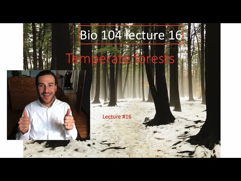 Bio 104 lecture 16