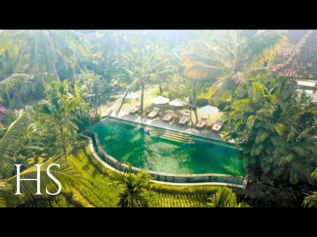 ALAYA RESORT UBUD | 200m WALK to MONKEY FOREST (Hotel tour) 4K class=