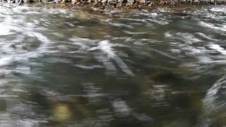 【自然音】1/fゆらぎ　川の音　Relaxing Nature Sounds-Study-Sleep-Meditation-Water Sounds