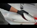 17.9kg 특 대방어 손질 (How to fillet a fish yellowtail)ブリ