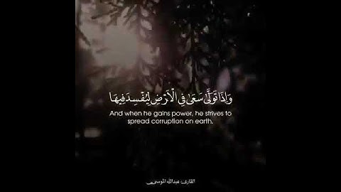 حالات واتس اب قرآن كريم بصوت القارئ عبدالله موسى