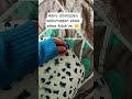 AMİN ALLAH'IM 🤲 ABONE OL 👈🙏#shortsviral