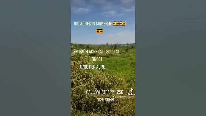 100 ACRES FOR SALE IN UGANDA |price $650 each (2m)