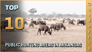 Top 10 Public Hunting Areas in Arkansas
