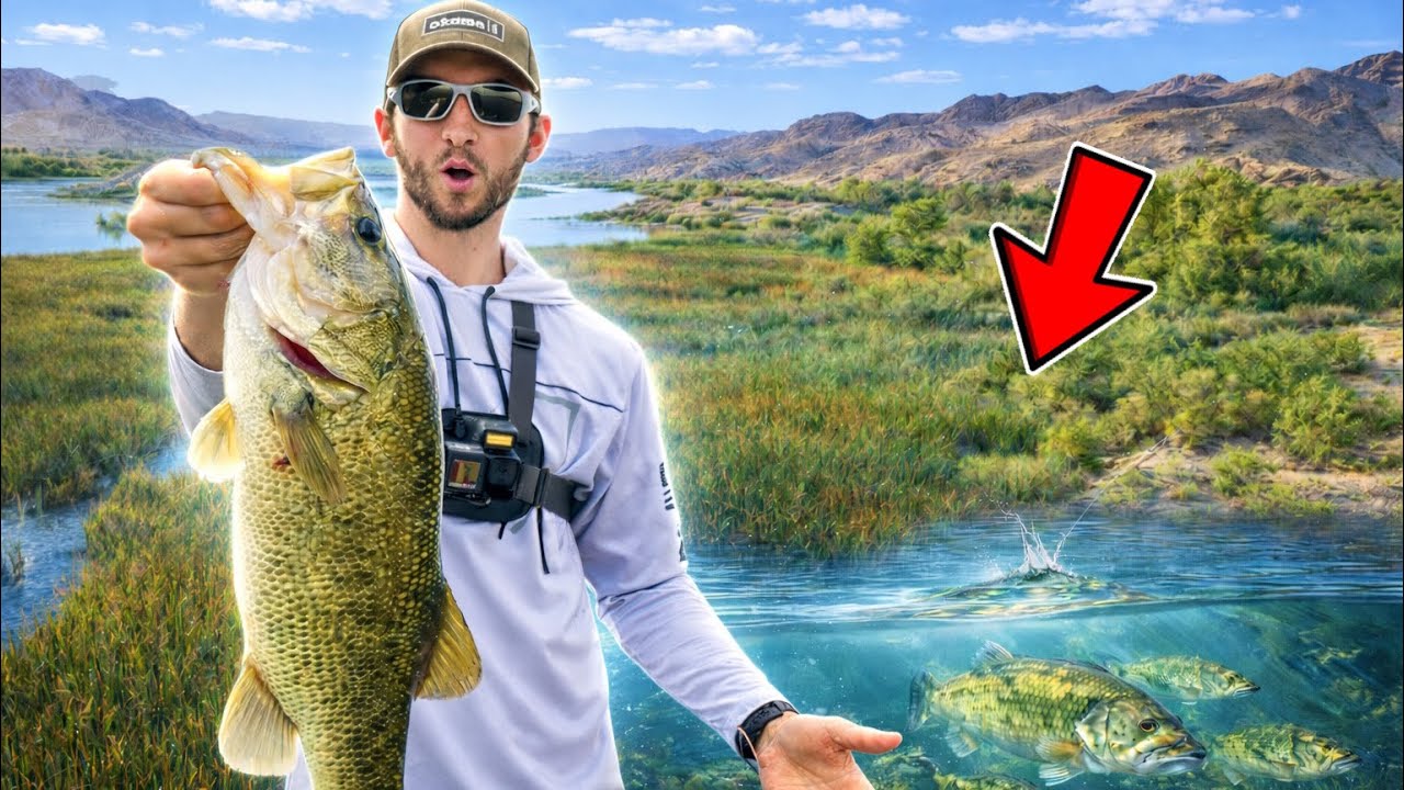 Chasing Giants in a Wild River!