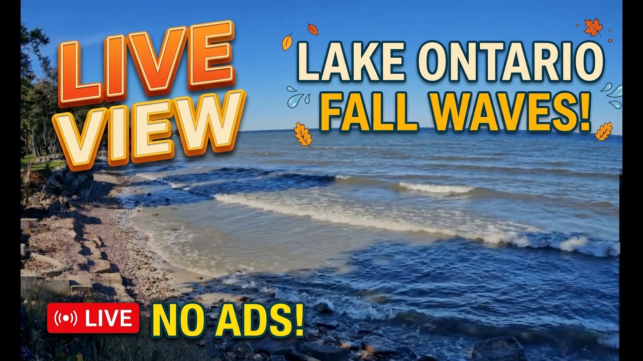 Lake Ontario Live Stream – Lyndonville, NY — Lyndonville, NY live camera thumbnail