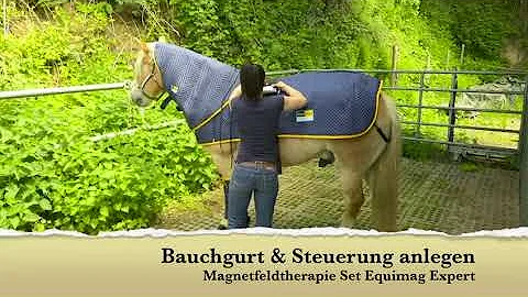 Magnetfelddecke equimag