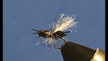 The Tying Bench #4 Tying Ken