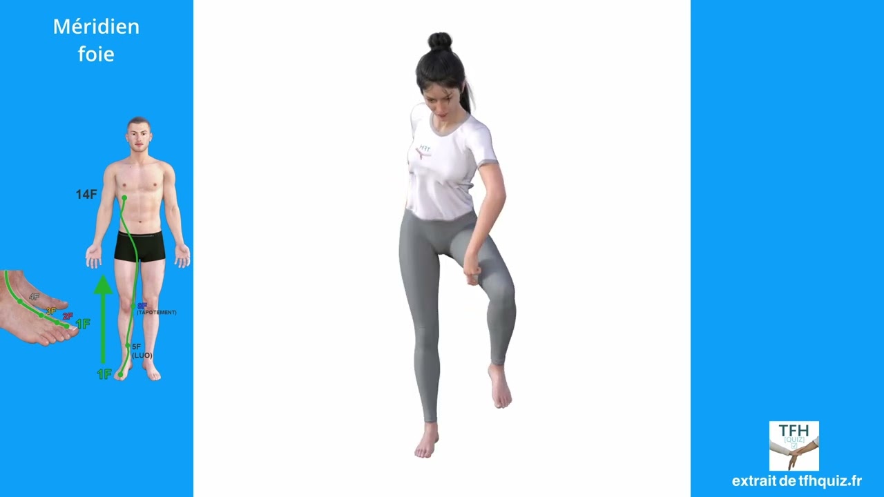 Mémo Méridiens 12/14 : Méridien Foie