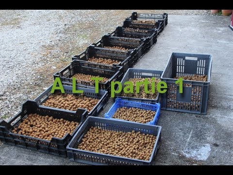 Réussir son ALT pour pêcher la carpe facilement (partie 1) by Carpecanal