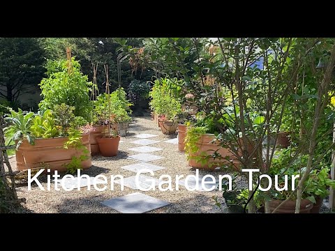 potager-kitchen-garden-tour-june-2022/one-month-growth-fruits,-vegetables-and-ornamentals