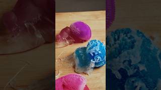 Hes A Stress Toy Felon