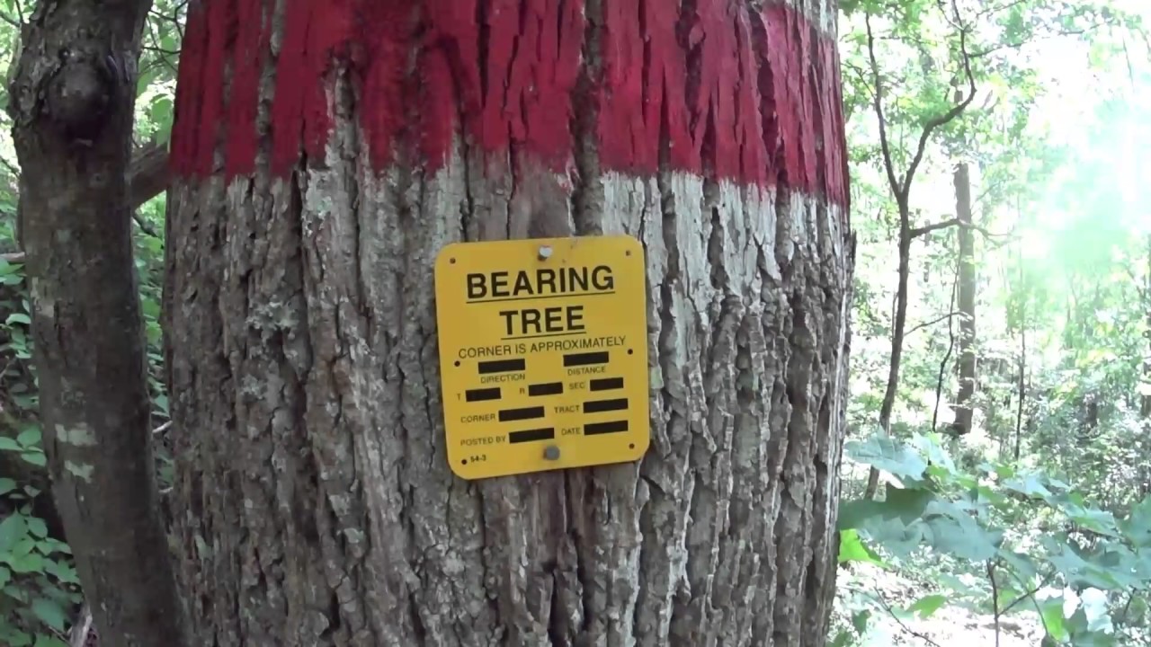 camera iphone 8 plus apk Appalachian Trail 2017 Day 48