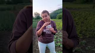 обприскую капусту проти білокрилки #garden