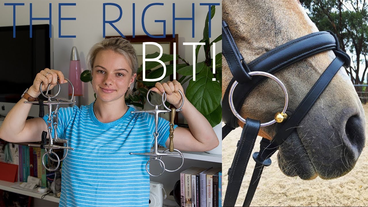 CHOOSING THE RIGHT BIT FOR YOUR HORSE YouTube