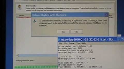 Malware Bytes Part 2 - Scan is done, How to Remove Infections