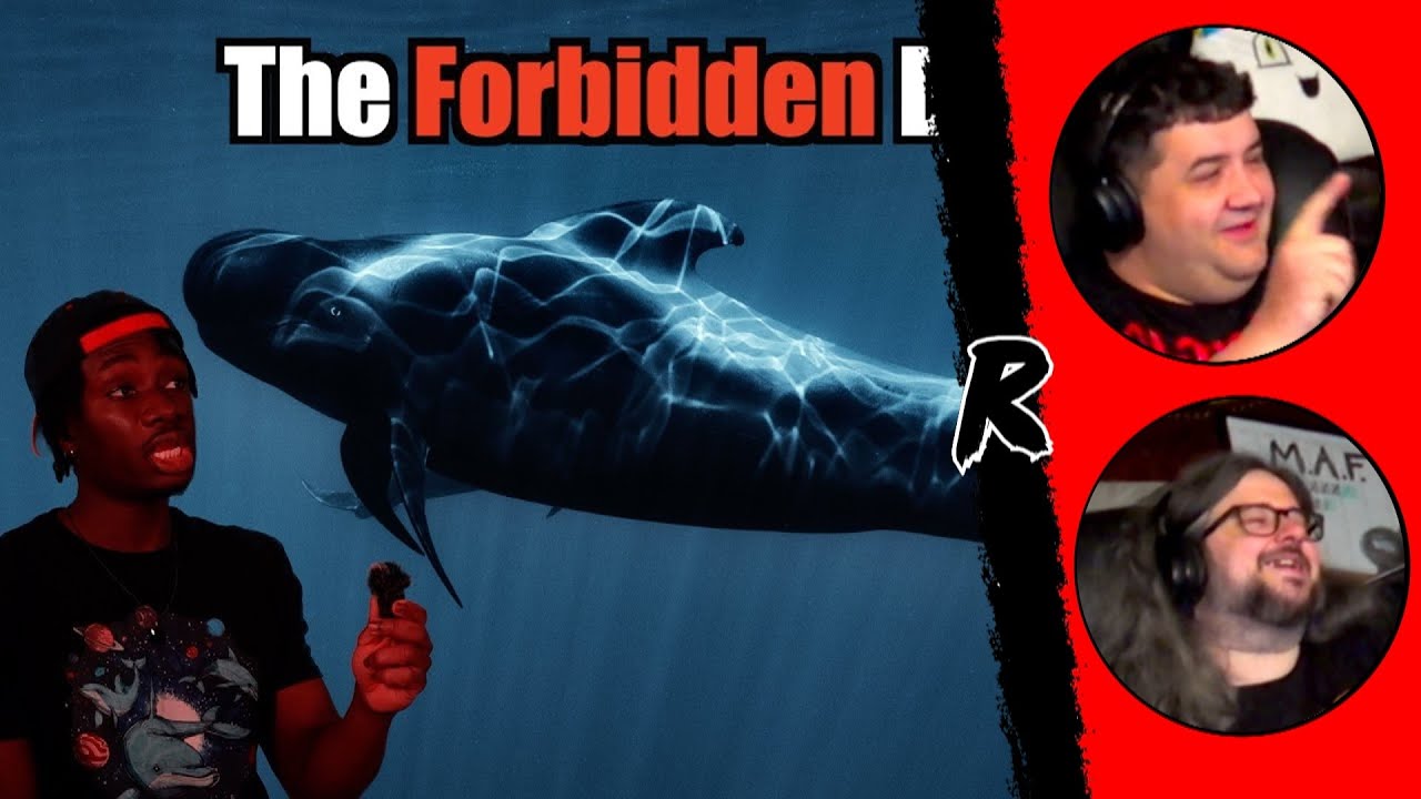 Why You (Probably) Have No Idea What a Whale Is - @mndiaye_97 | RENEGADES REACT