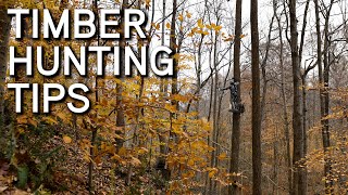 Deer Hunting Big Timber Bucks | Bow Hunting Tips