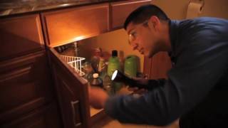 Ecola Termite Tip  "Early Signs of Prevention"