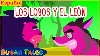 LOS LOBOS Y EL LEÓN by Sugar Tales ESPAÑOL  119,433 views 4 years ago 8 minutes, 41 seconds