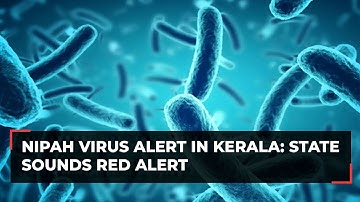 Nipah virus alert in Kerala: After 2 dead in Kozhikode, state sounds red alert