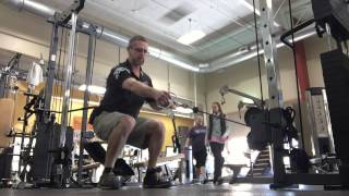 Isometric Squat with Single Arm Pull Row
