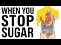 Stop Eating Sugar — Your Body Transforms Fast