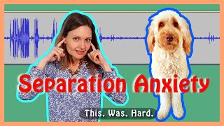 SEPARATION ANXIETY (Dogs): How I helped my Goldendoodle Dog
