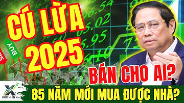 CÚ LỪA "ẤM LÊN" 2025: Bẫy Thoát Hàng Hay Cơ Hội Bắt Đáy?