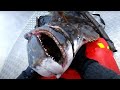 194cm! | Höstfiske efter stor hälleflundra - a Camp Halibut fishing film