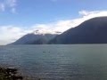 DELFINES TONINAS CALETA GONZALO PUMALIN CARRETERA AUSTRAL DOLPHIN CHILE