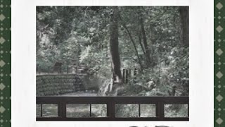 風写真 ／ 唄音ウタ